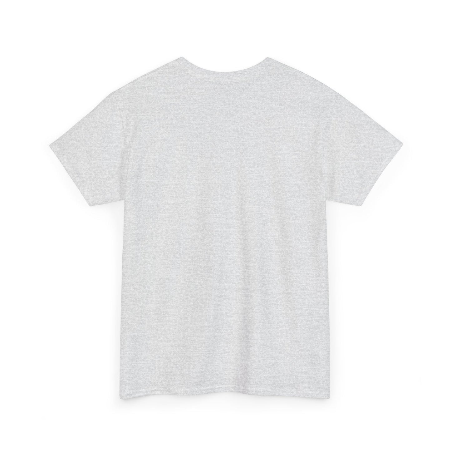 Back view of the Light Heather Gray Iceland Flag Tee