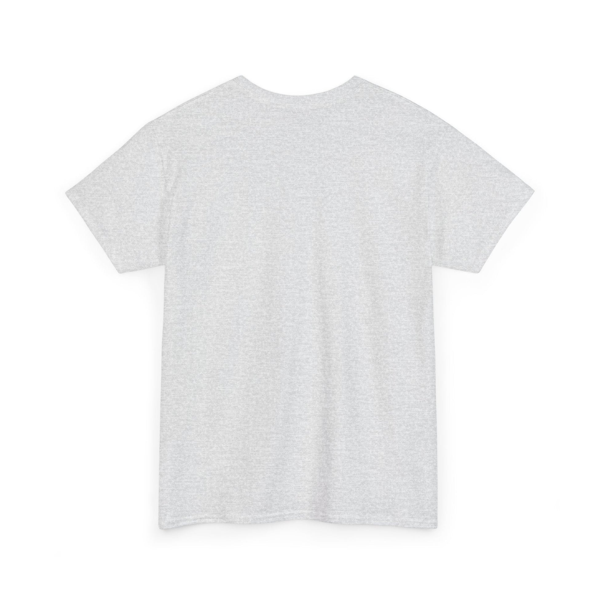 Back view of the Light Heather Gray Iceland Flag Tee