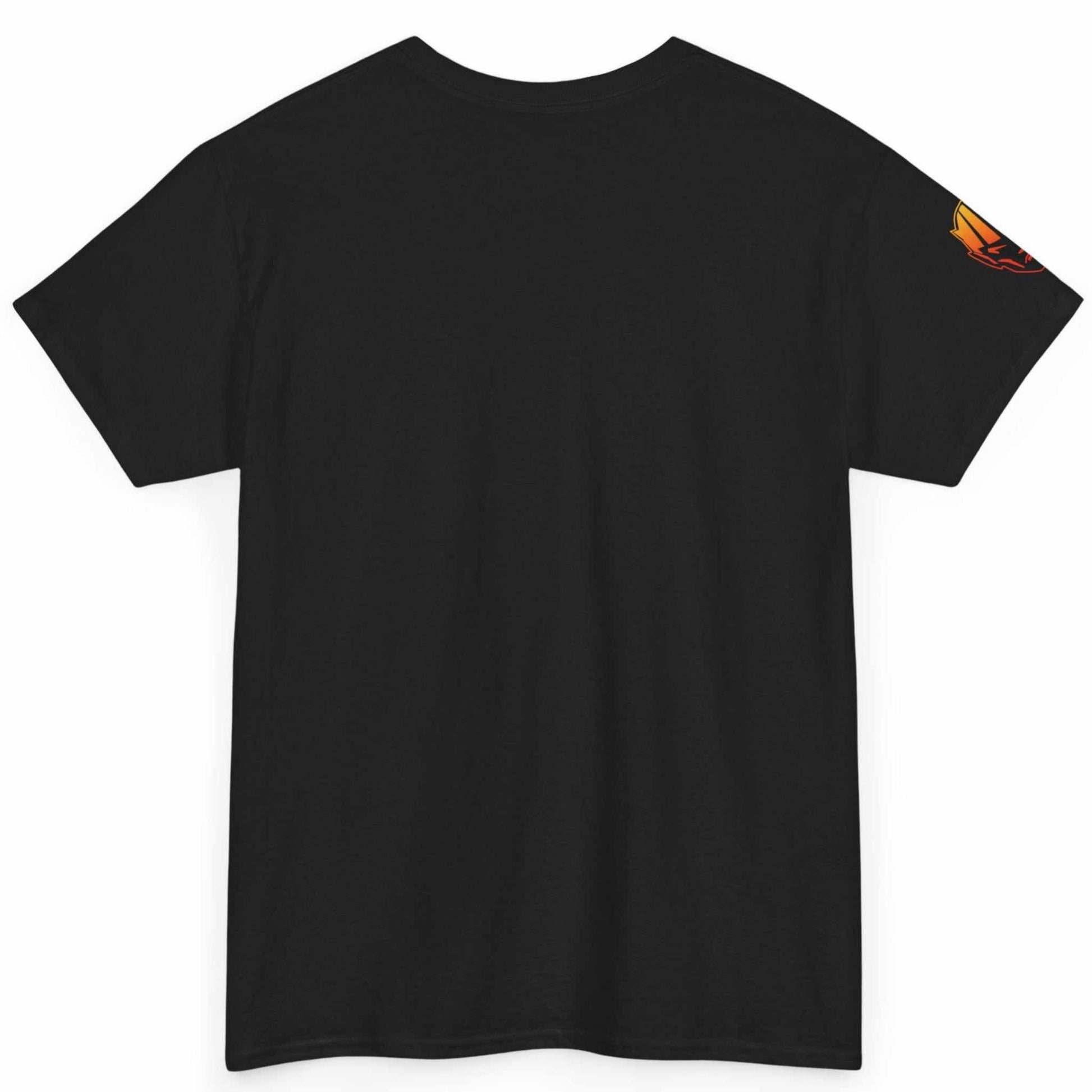 Back view of the black classic unisex fit custom printed IT professional tee.