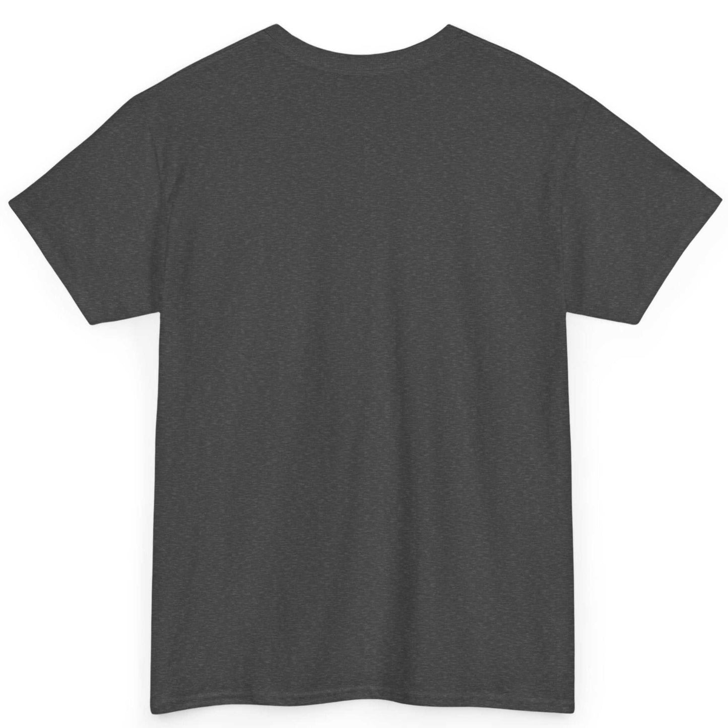 Back view of the dark heather grey combat sports apparel tee, showing the clean, unprinted heavyweight cotton back canvas.
