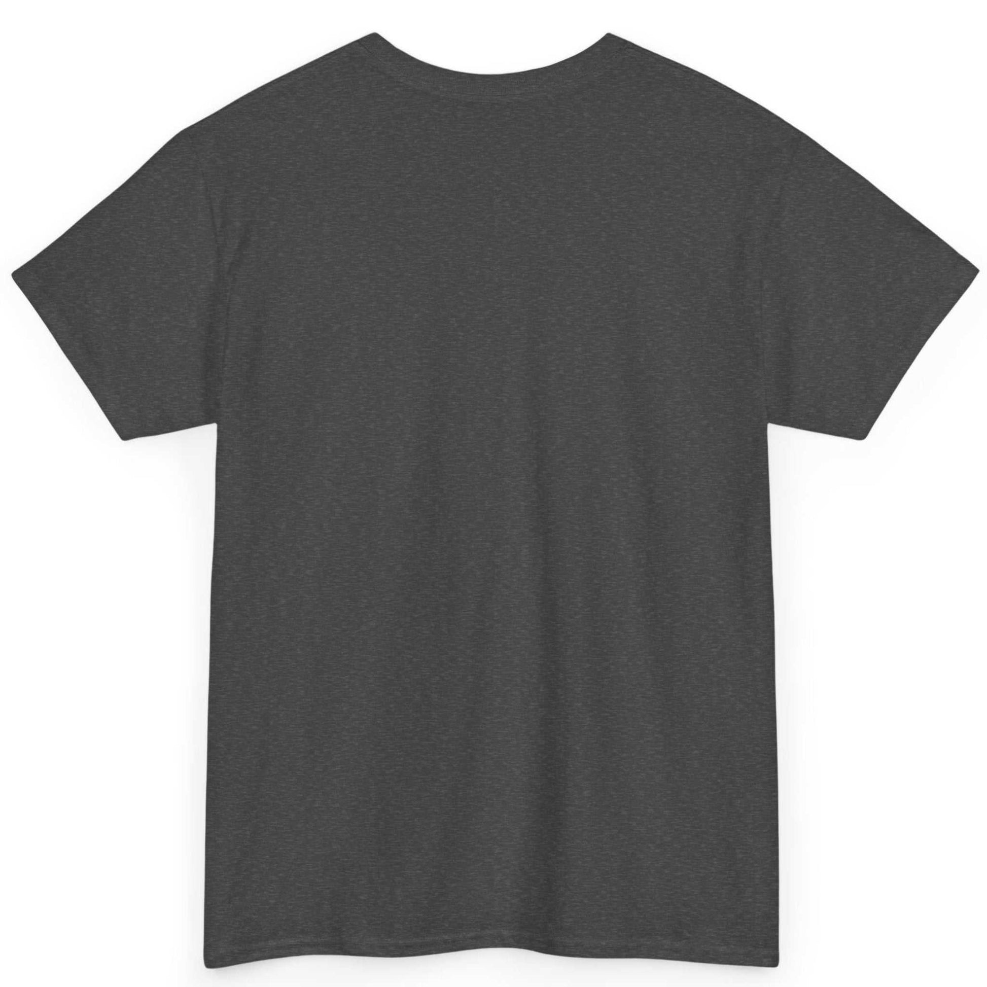 Back view of the dark heather grey combat sports apparel tee, showing the clean, unprinted heavyweight cotton back canvas.