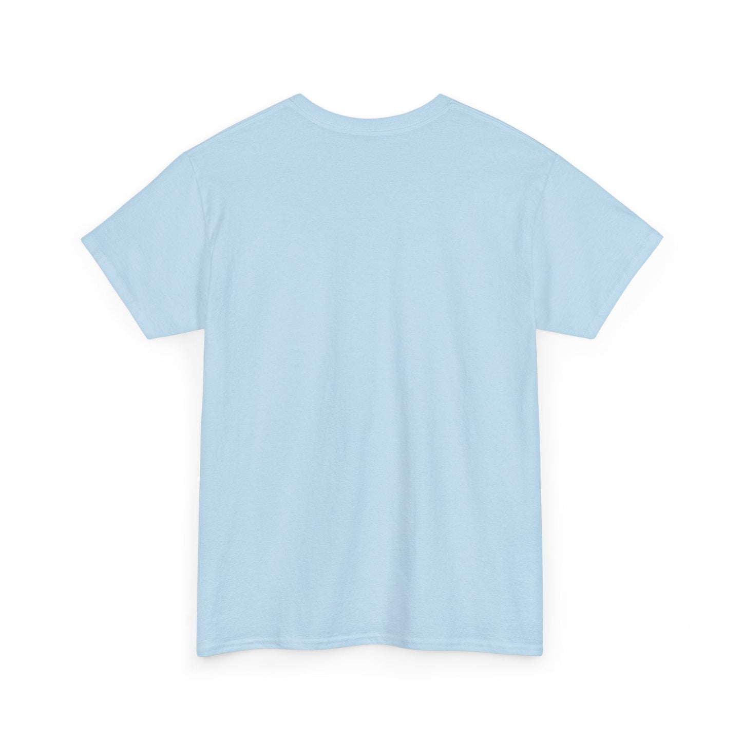 Back view of the Light Blue Australia Flag tee