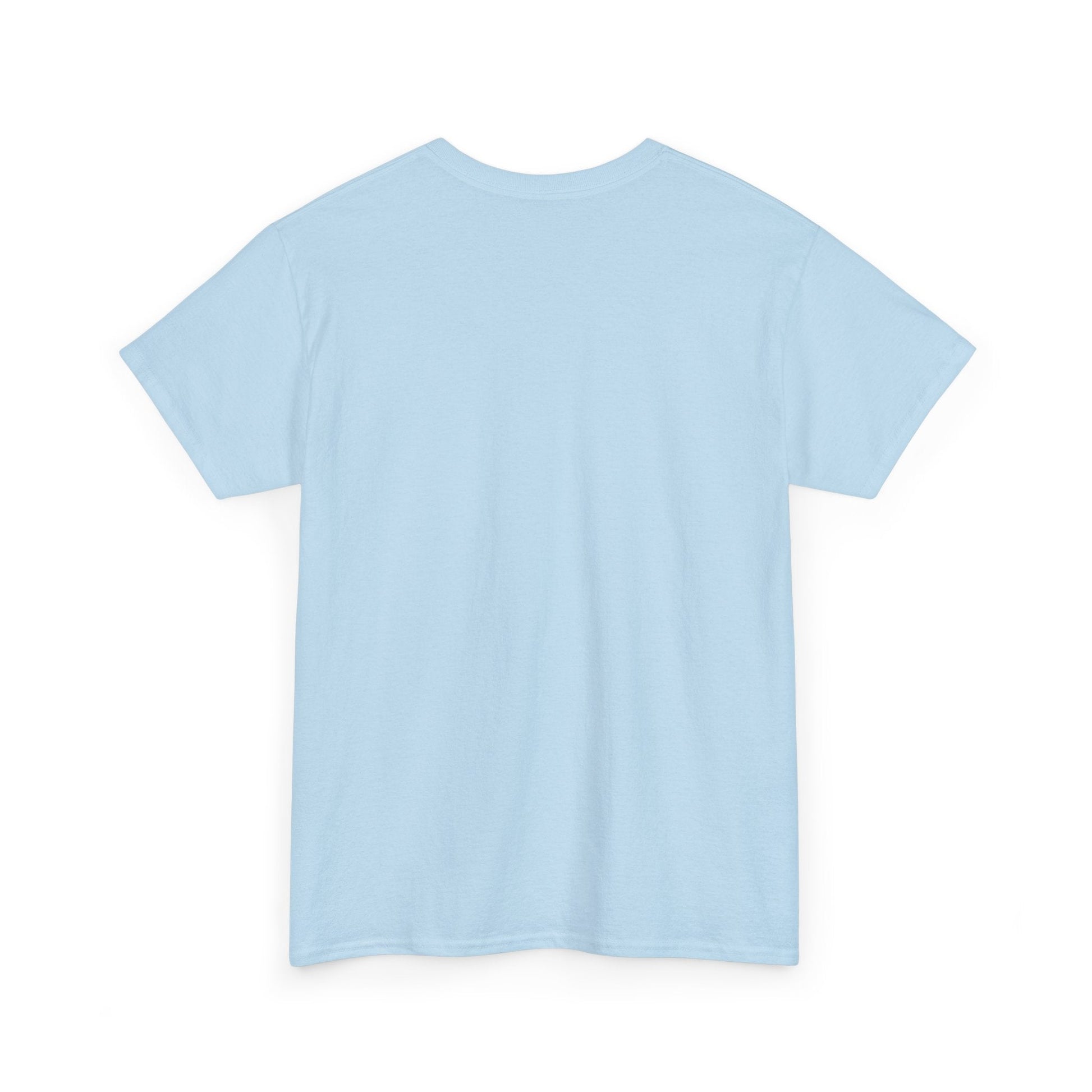 Back view of the Light Blue Australia Flag tee