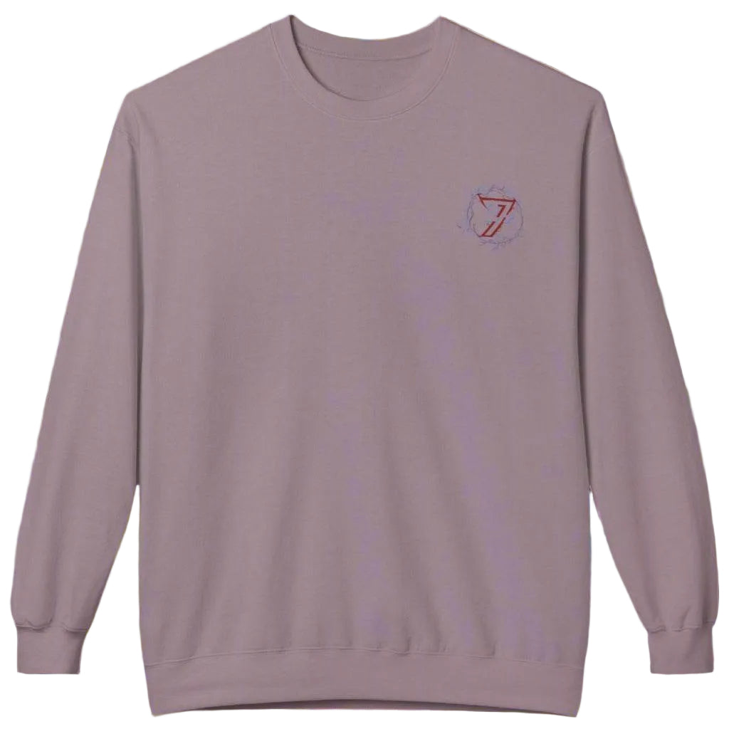 Muted paragon purple women's graphic pullover with a comfortable relaxed fit.