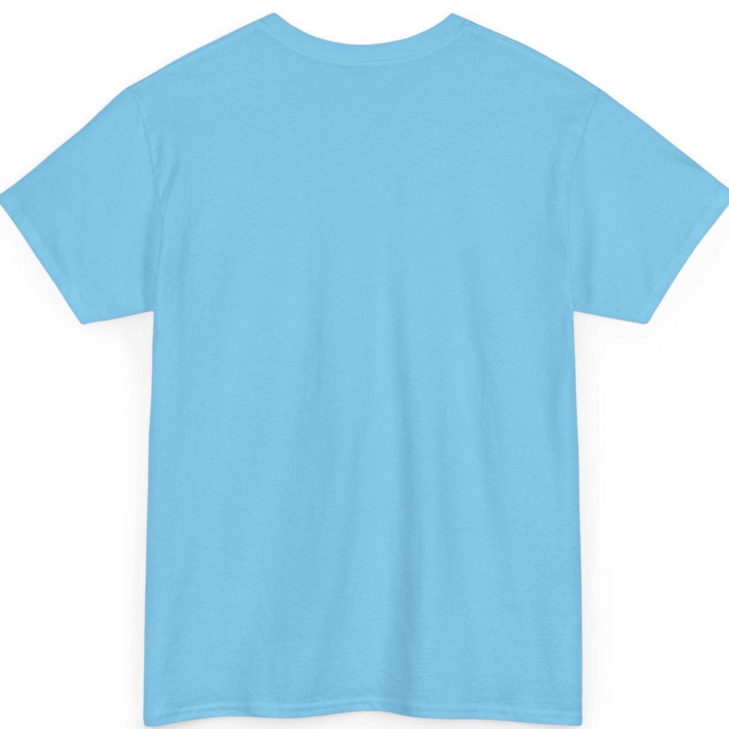 Back view of the sky blue seamless tubular humorous statement t-shirt.